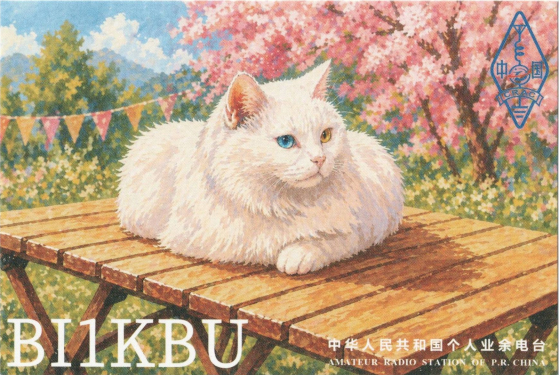 BI1KBU-2